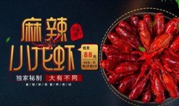 美食爆料视频下载免费,免费下载美食秘籍大公开
